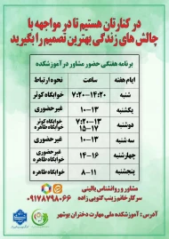 برنامه حضور مشاور