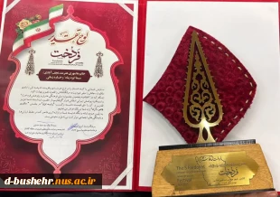 درخشش اساتید آموزشکده ملی مهارت دختران بوشهر در جشنواره ملی «فردخت» 3