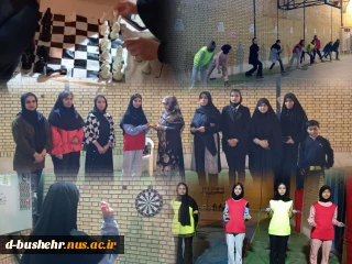 به مناسبت ماه مبارک رمضان انجام شد؛
برگزاری مسابقات دارت، طناب زنی، دو میدانی، بدمینتون، شطرنج و والیبال در آموزشکده ملی مهارت الزهرا(س) بوشهر