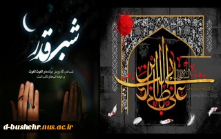 پیام تسلیت سرپرست آموزشکده ملی مهارت دختران بوشهر به مناسبت شهادت مولی الموحدین حضرت علی(ع)