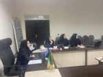 برگزاری جلسات دفاع پروژه پایانی رشته مهندسی حرفه ای معماری به صورت مجازی 2