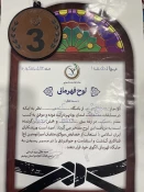 درخشش دانشجوی آموزشکده دختران بوشهر در مسابقات هانمادانگ استان بوشهر 3