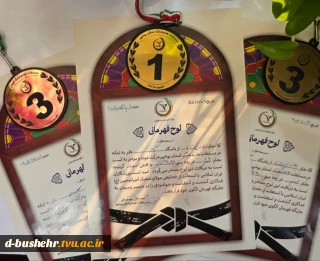 درخشش دانشجوی آموزشکده دختران بوشهر در مسابقات هانمادانگ استان بوشهر