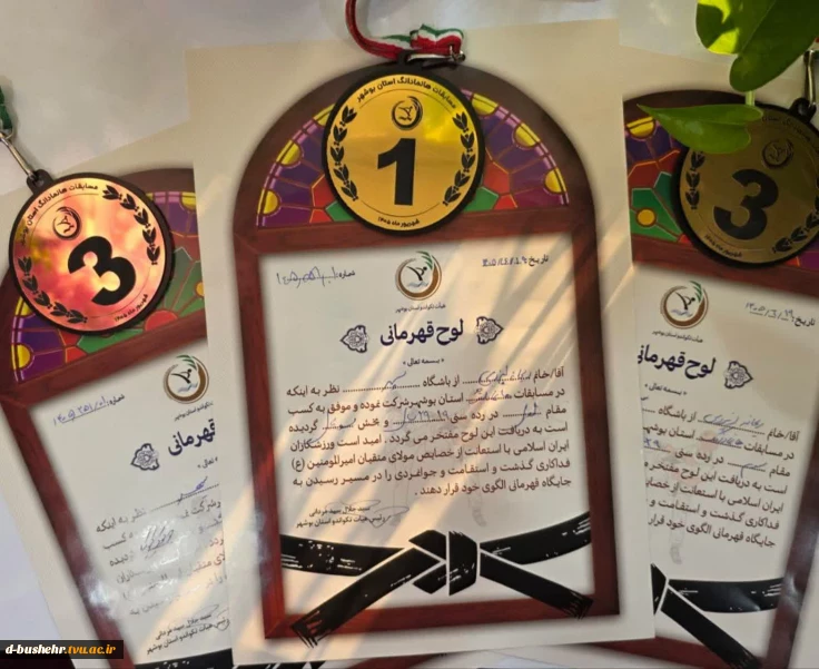 درخشش دانشجوی آموزشکده دختران بوشهر در مسابقات هانمادانگ استان بوشهر